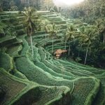 One Day Trip Ubud Hidden Waterfall & Tegalalang Rice Terrace (19)
