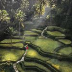 One Day Trip Ubud Hidden Waterfall & Tegalalang Rice Terrace (6)