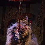 Ubud Bali Culture & Nature Tour (2)