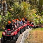 Ubud Bali Culture & Nature Tour (4)