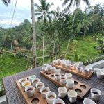 Ubud Culture & Heritage Tour (2)