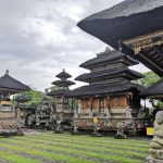 Ubud Culture & Heritage Tour (8)