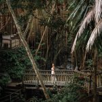 Ubud Highlights Culture and Natural With Experince Guide (3)