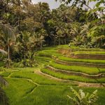 Ubud Zip Line, White Water Rafting & Rice Terrace (5)