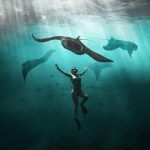 West Nusa Penida & Snorkeling Adventure (1)(1)