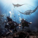 West Nusa Penida & Snorkeling Adventure (2)(1)
